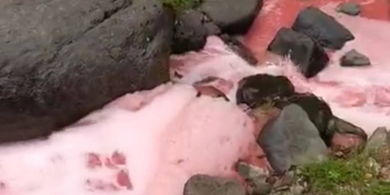 Rize’de dere kırmızıya döndü: Halk endişeli
