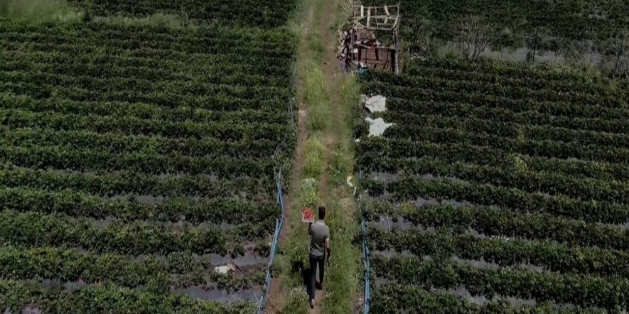 350 milyon lirayı duyan Batman'a akın etti