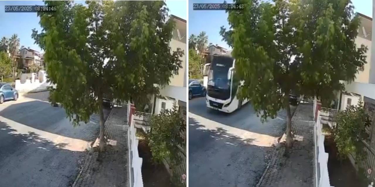 Hayvanseverleri ayağa kaldıran olay: Hiç durmadı, ezdi geçti