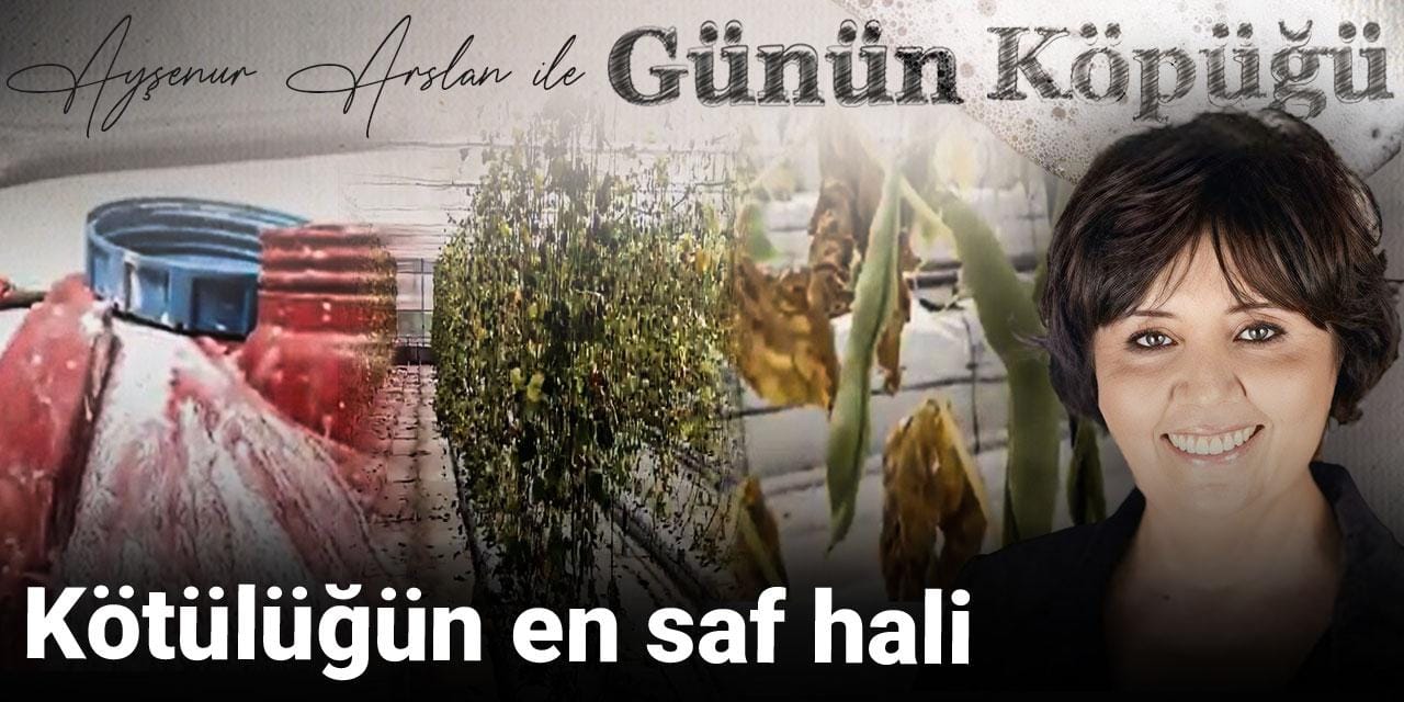 Kötülüğün en saf hali
