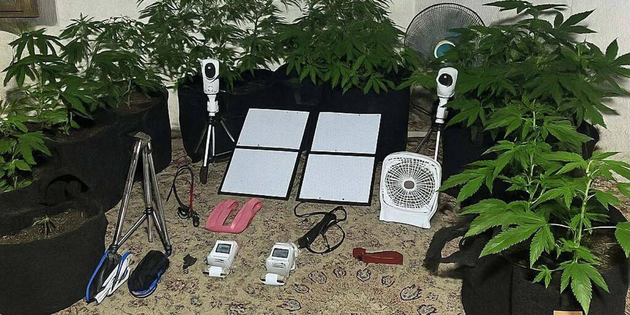 21 yaşındaki genç hint keneviri yetiştirmekten gözaltına alındı