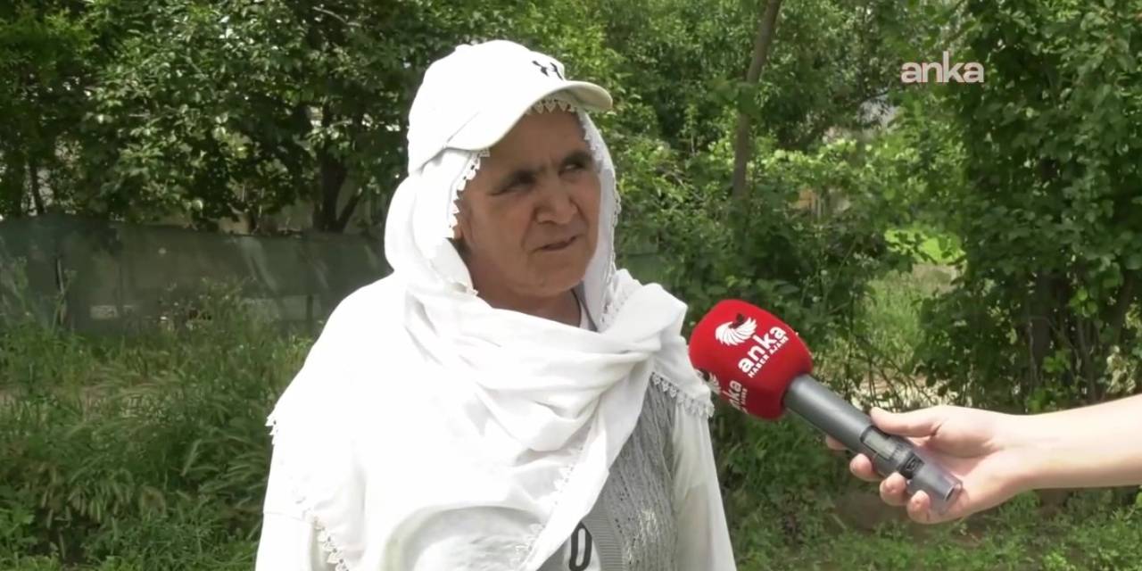 Maydonoz üreticisi isyan etti: Hükümetin tek derdi İmamoğlu