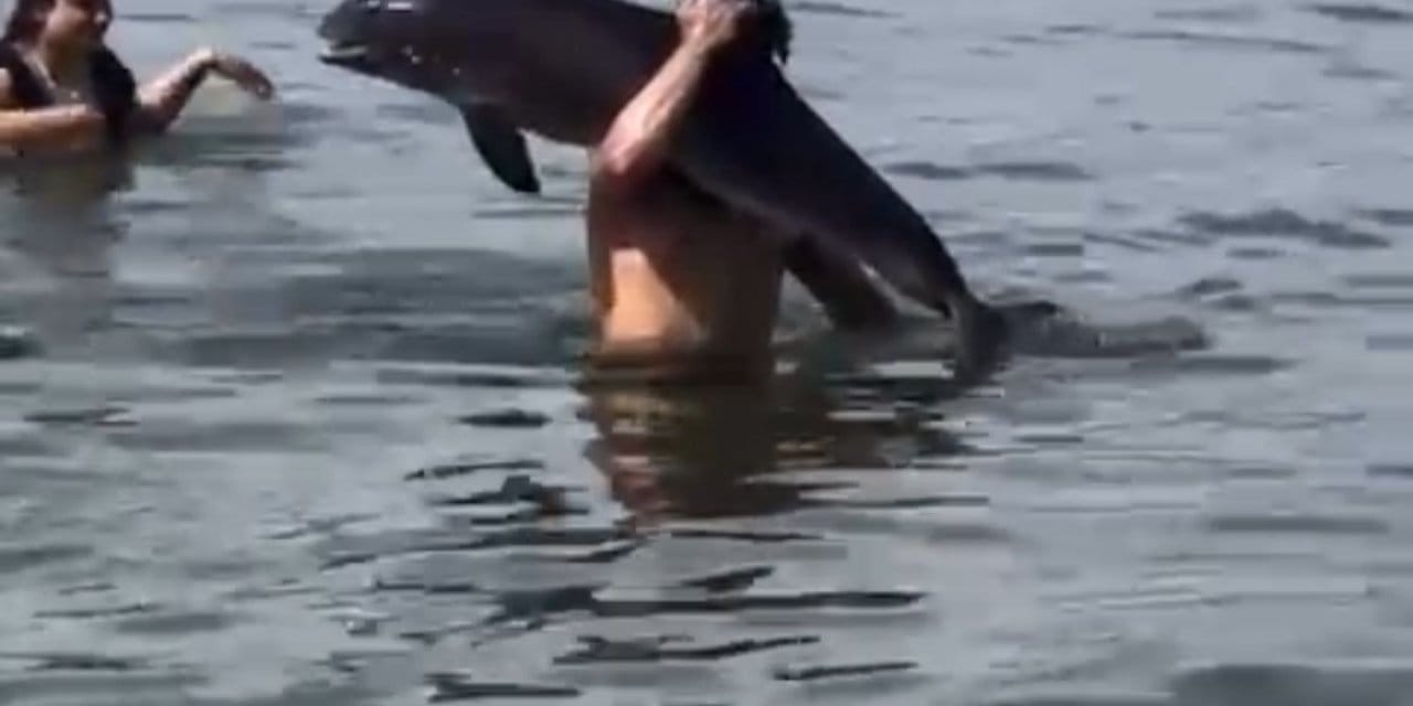 Herkes şok olurken o kurtarmaya çalıştı