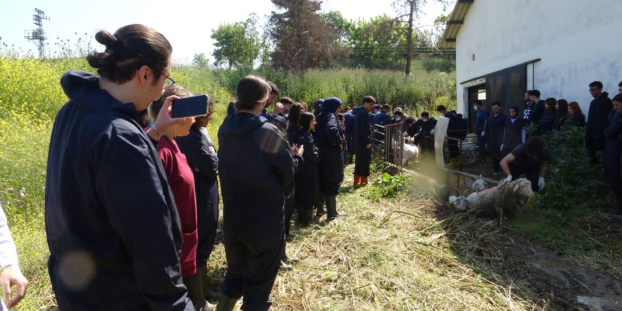 Anadolu'nun 800 yıllık geleneğini devam ettirdiler