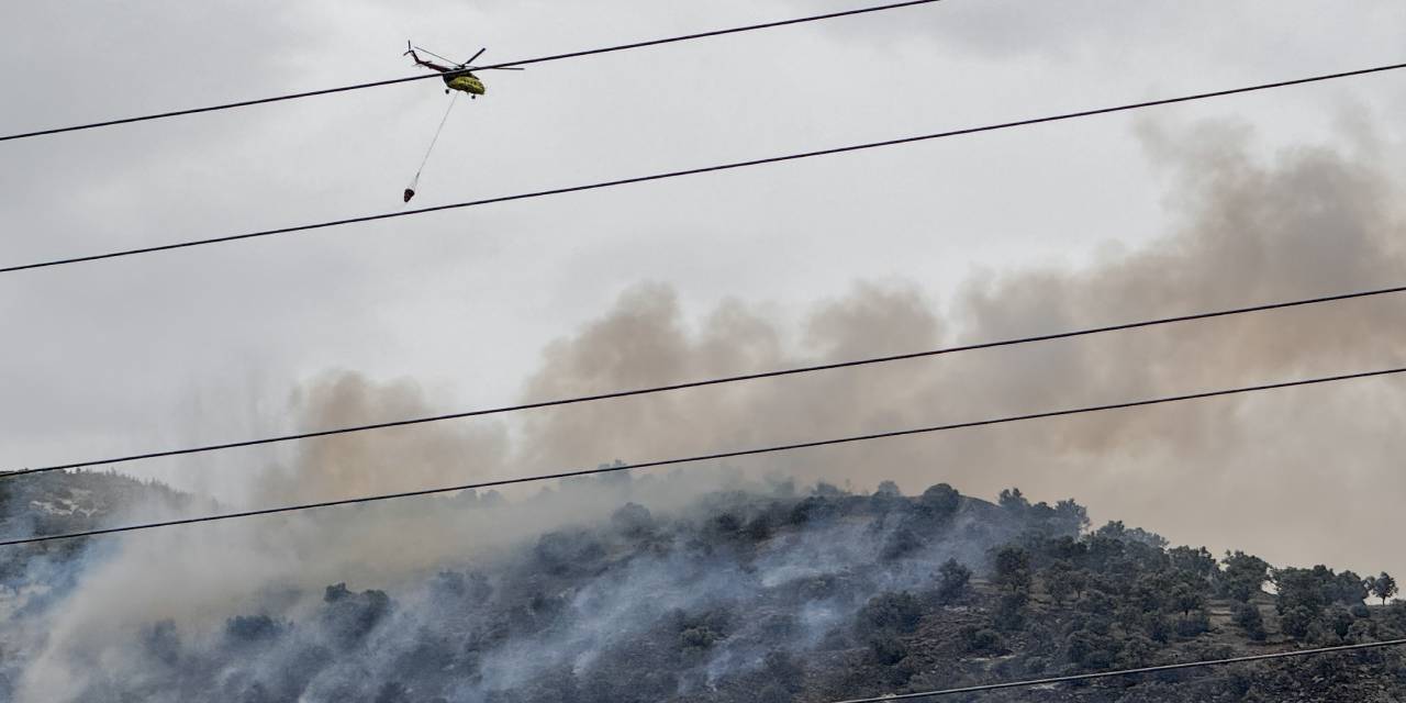 İzmir'de alevler zeytinliği sardı! 2 uçak ve 2 helikopterle müdahale edildi