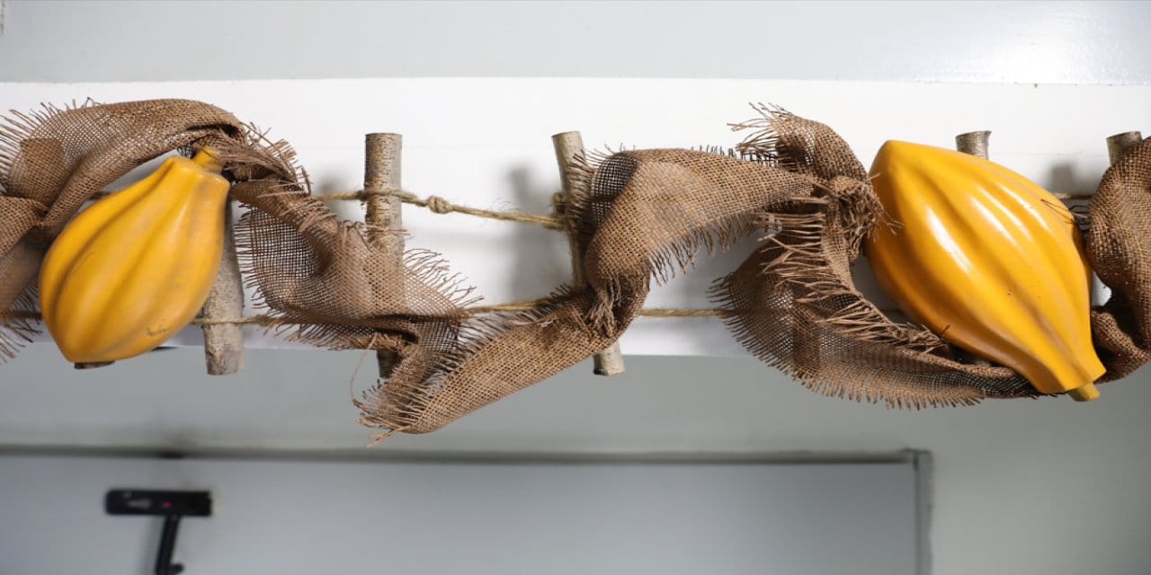 Afrika'nın altın çekirdekleri: Sektörün yarısı bu ülkeden çıkıyor!