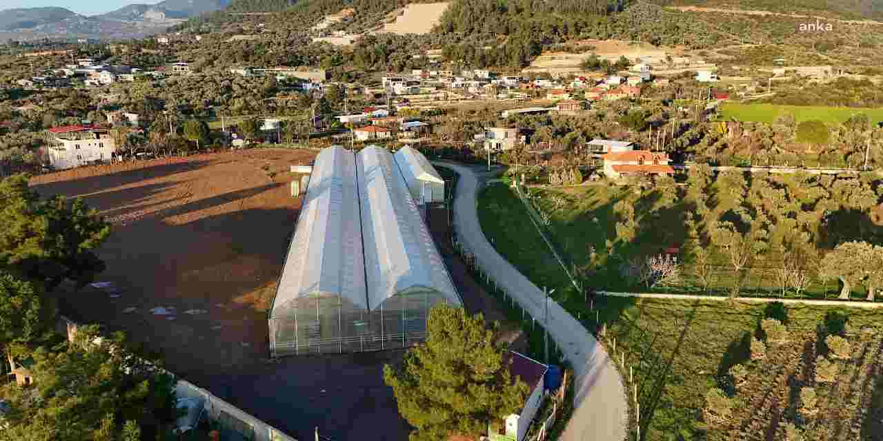 Sera sabotajına karşı dayanışma çağrısı! Fidan dikecekler