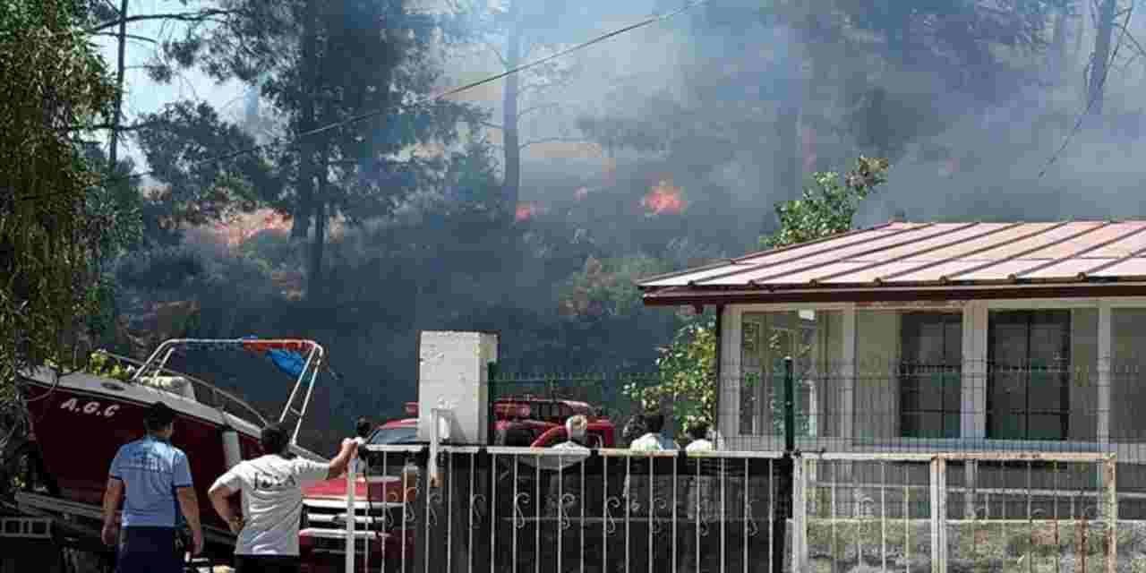 Marmaris'te orman yangını! 2 hektarlık alan kül oldu