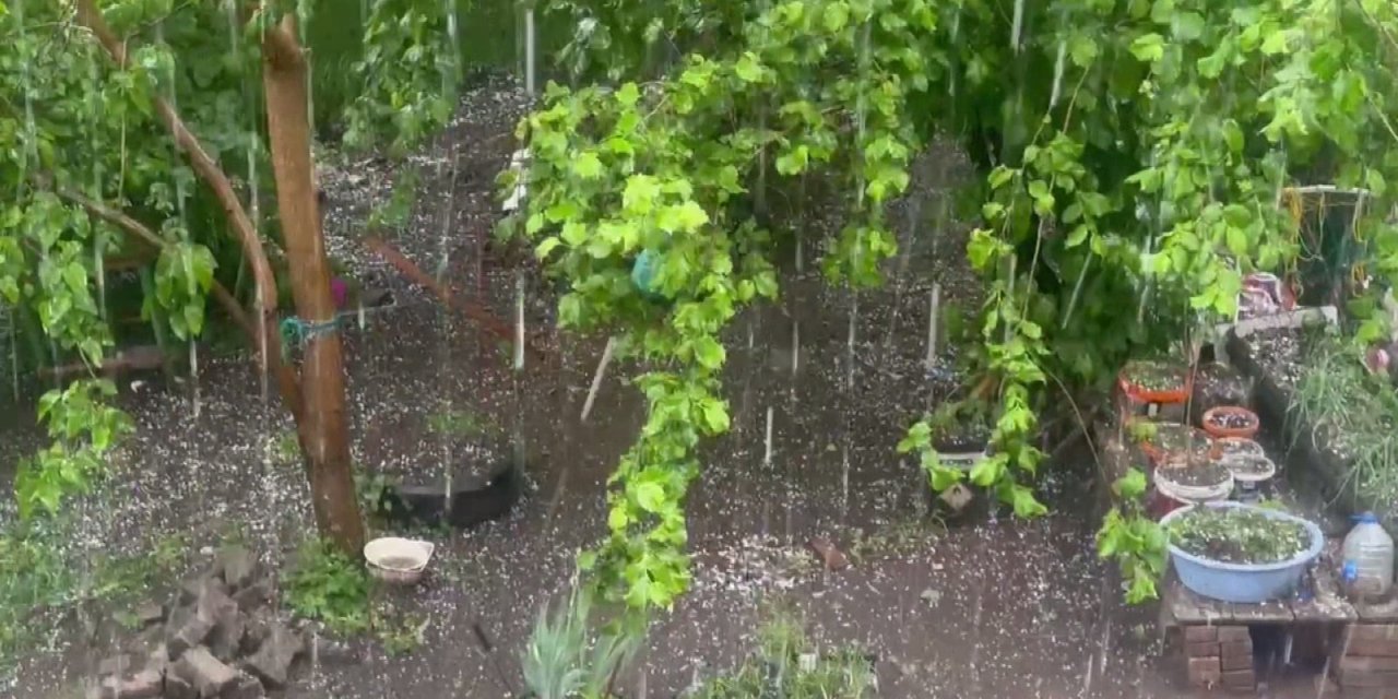 Artvin'de dolu; tarım arazileri zarar gördü