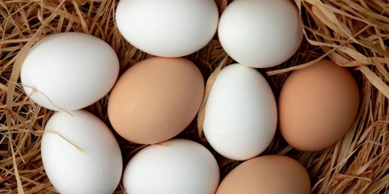 Yumurta satışına izin zorunluluğu geldi!