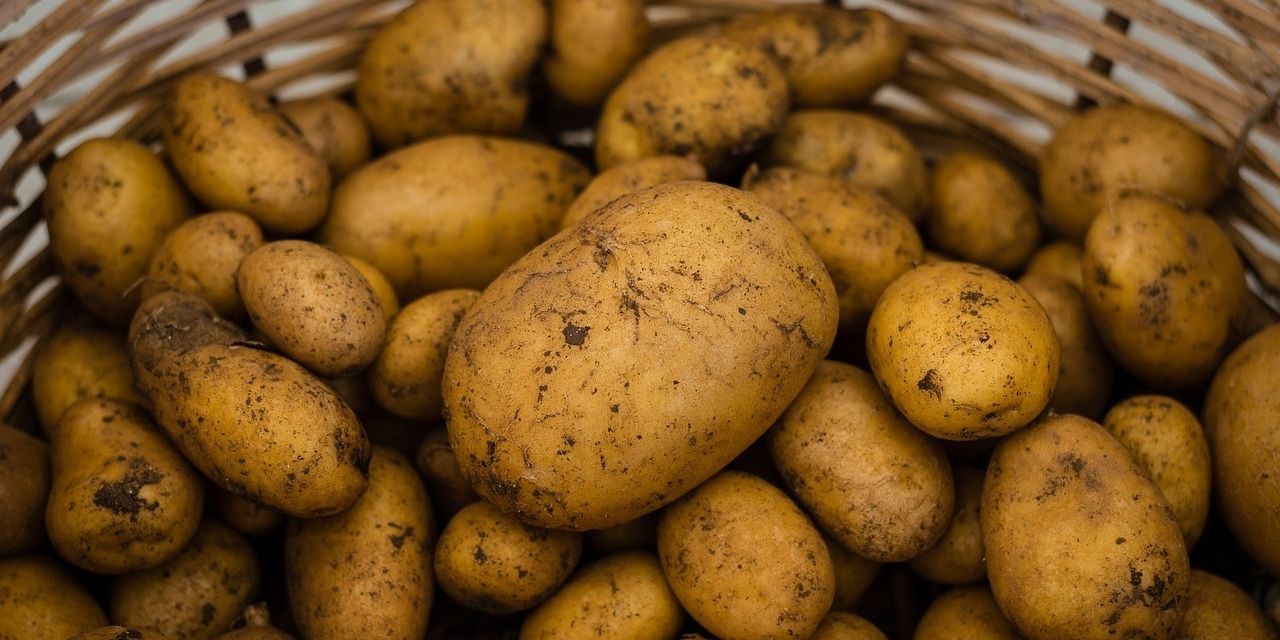 Gıda krizi kapıda mı? Bakan "İtibar etmeyin" demişti ama zirai don ürünün yarısını götürdü