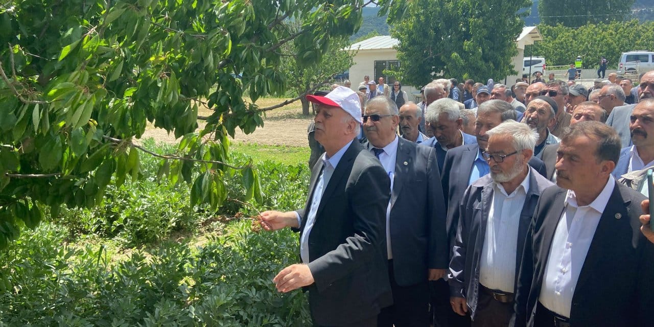 ‘6 Şubat depremi gibi bir don felaketi yaşadık’