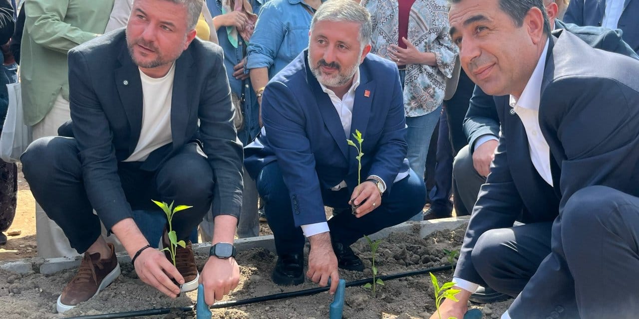 Buca'da sabote edilen sera için fide ekildi: Hain saldırı üretimi durdurmayacak