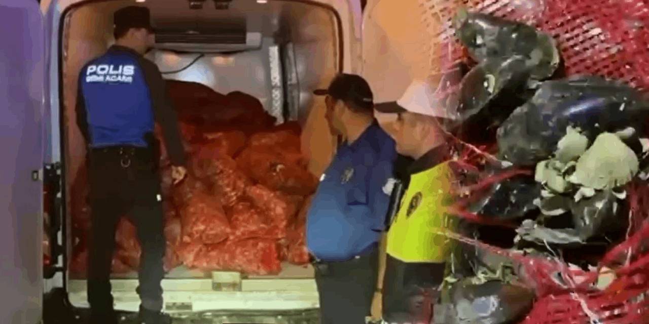 Doğaya zararın bedeli ağır oldu