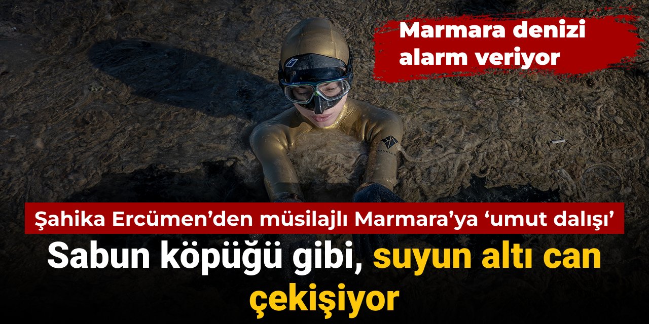 Şahika Ercümen müsilajlı Marmara Denizi'ne daldı: Suyun altı can çekişiyor