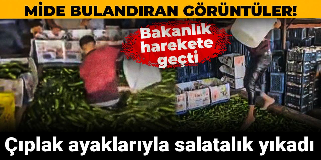 Mide bulandıran görüntüler! Çıplak ayaklarıyla salatalık yıkadı: Bakanlık harekete geçti