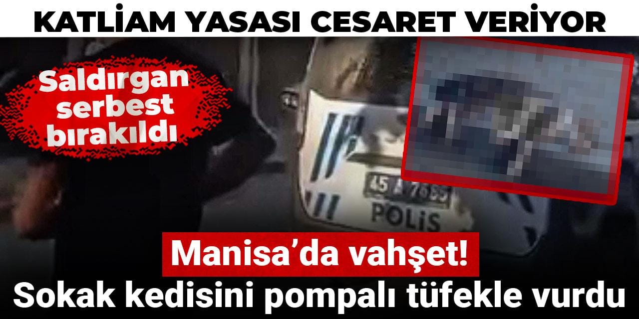 Manisa’da vahşet! Sokak kedisini pompalı tüfekle vurdu: Serbest bırakıldı