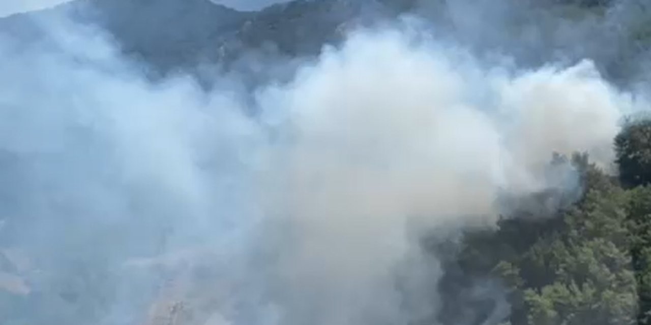 Marmaris'te orman yangını kontrol altına alındı