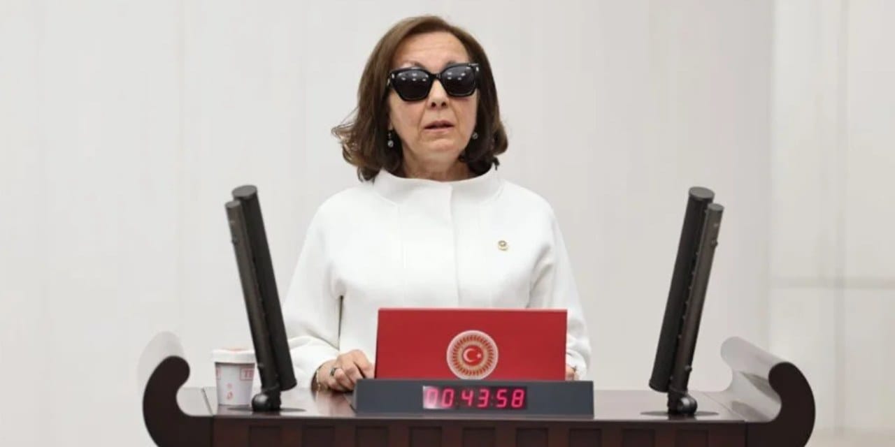 Anayasa Komisyonu'nda Özbudun bilmecesi... Bir varmış bir yokmuş