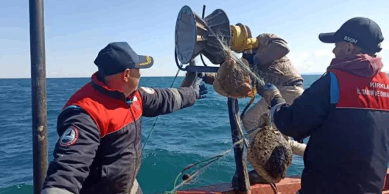 Acımadan 44 kilometre ağı attılar: Vay vicdansızlar!