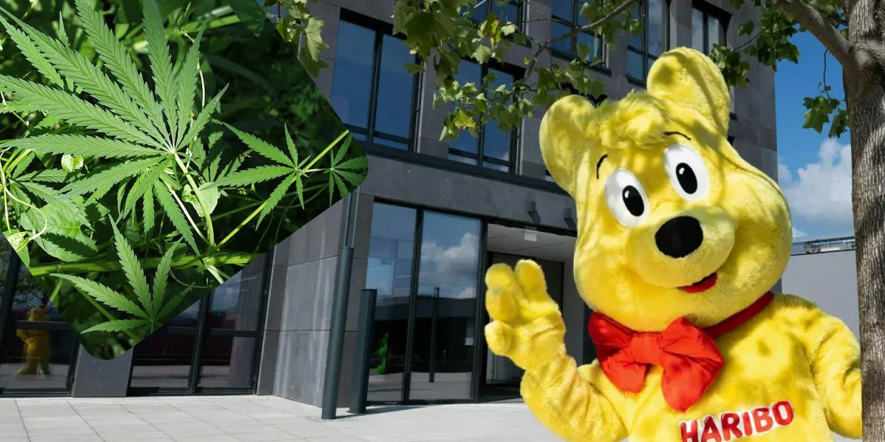 Hollanda’da Haribo şekerlerde esrar bulundu: Ürünler geri çağrıldı