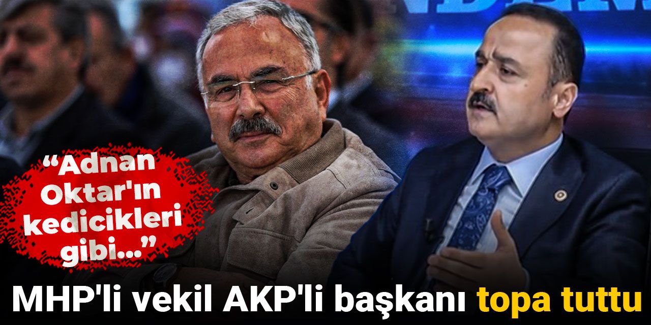 MHP'li vekil AKP'li başkanı topa tuttu: Adnan Oktar'ın kedicikleri gibi...