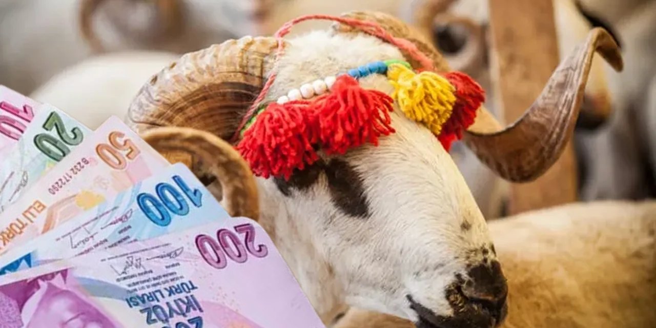 Kesinleşti: Dar gelirli ailelere 2 bin 500 lira Kurban Bayramı desteği
