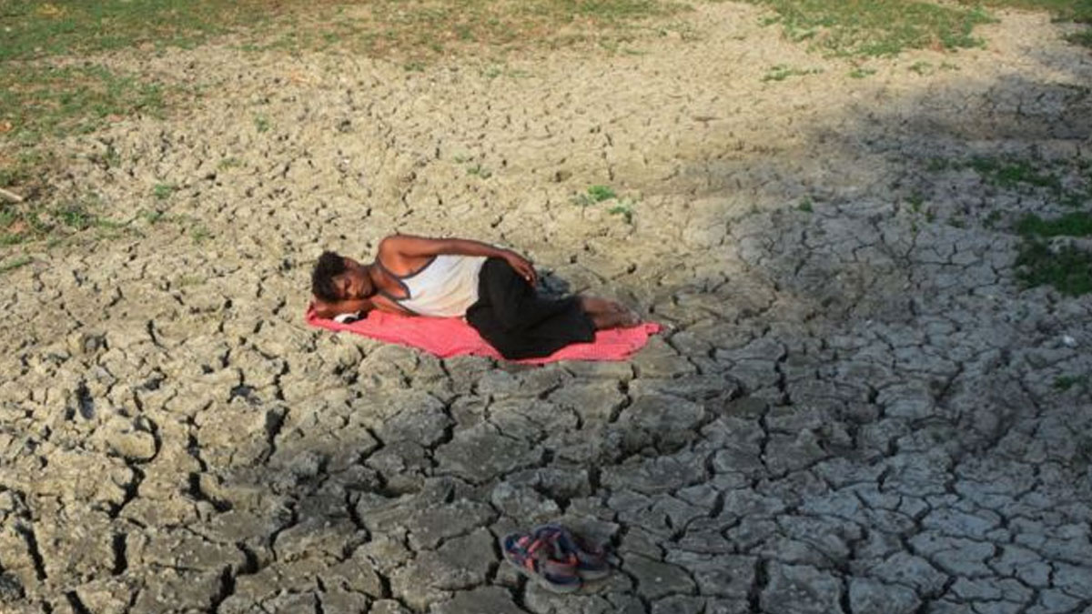Hindistan'da kuraklık: 5 yılda 4 bin 700 çiftçi intihar etti