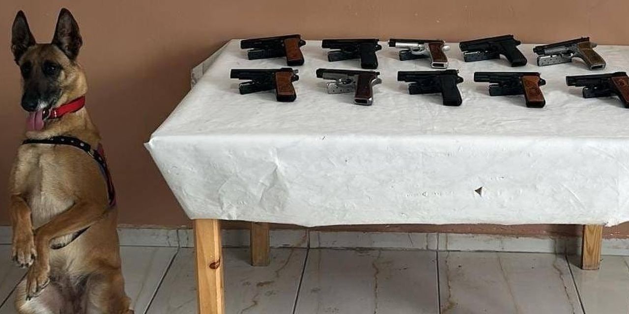 Erzurum’da ruhsatsız tabanca operasyonu: Bomba köpeği iz sürdü