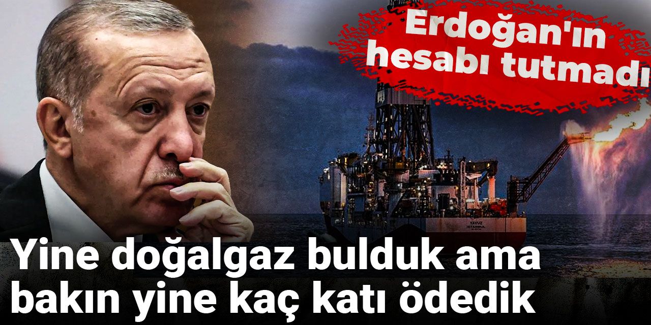 Yine doğalgaz bulduk ama bakın yine kaç katı ödedik: Erdoğan'ın hesabı tutmadı
