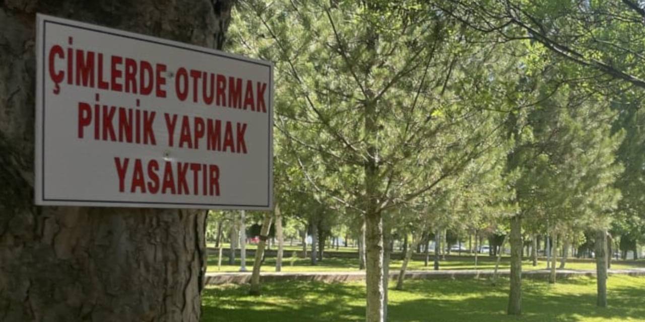 Üniversitenin tek yeşil alanı kapatıldı: Oturmak yasak!