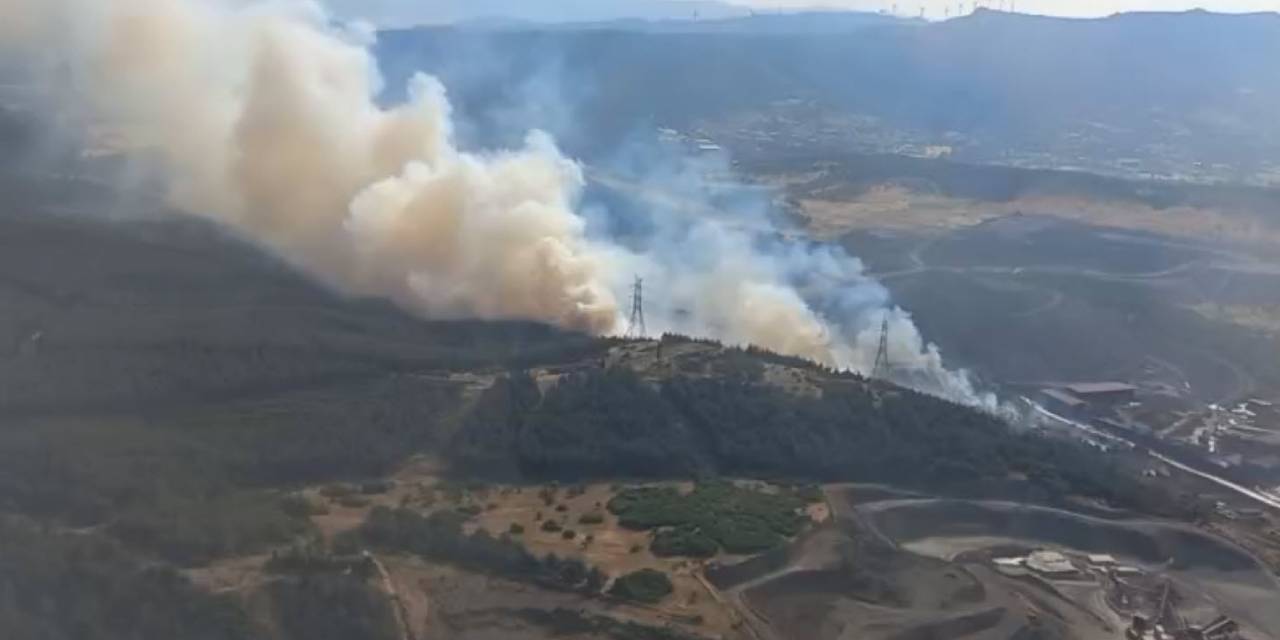 SON DAKİKA İzmir'de orman yangını