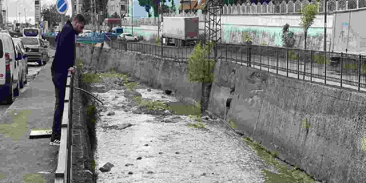Rize’de derede balık ölümlerine inceleme