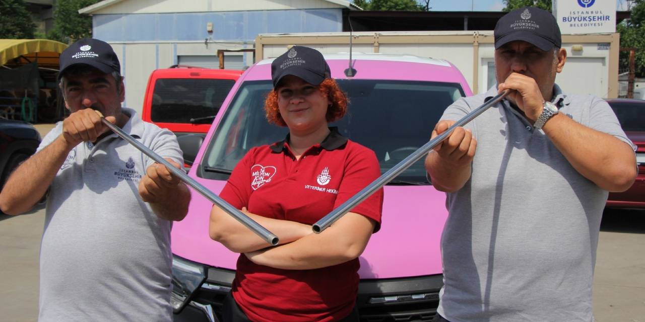 İBB hazırlığını yaptı: Kaçan kurtulamayacak!