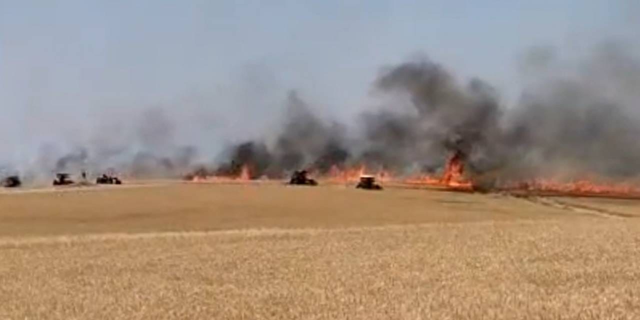 Diyarbakır'da 120 dönüm ekili buğday yandı