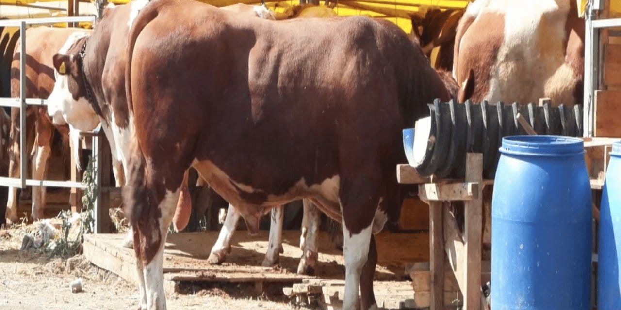 Pazarda anlaşmazlık: Son günler ama alıcı da satıcı da dertli