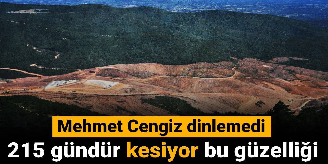 Mehmet Cengiz dinlemedi: 215 gündür kesiyor bu güzelliği
