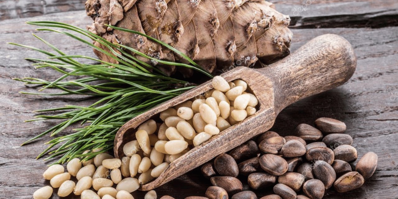 Çam fıstığı Ege'deki şehre tescillendi