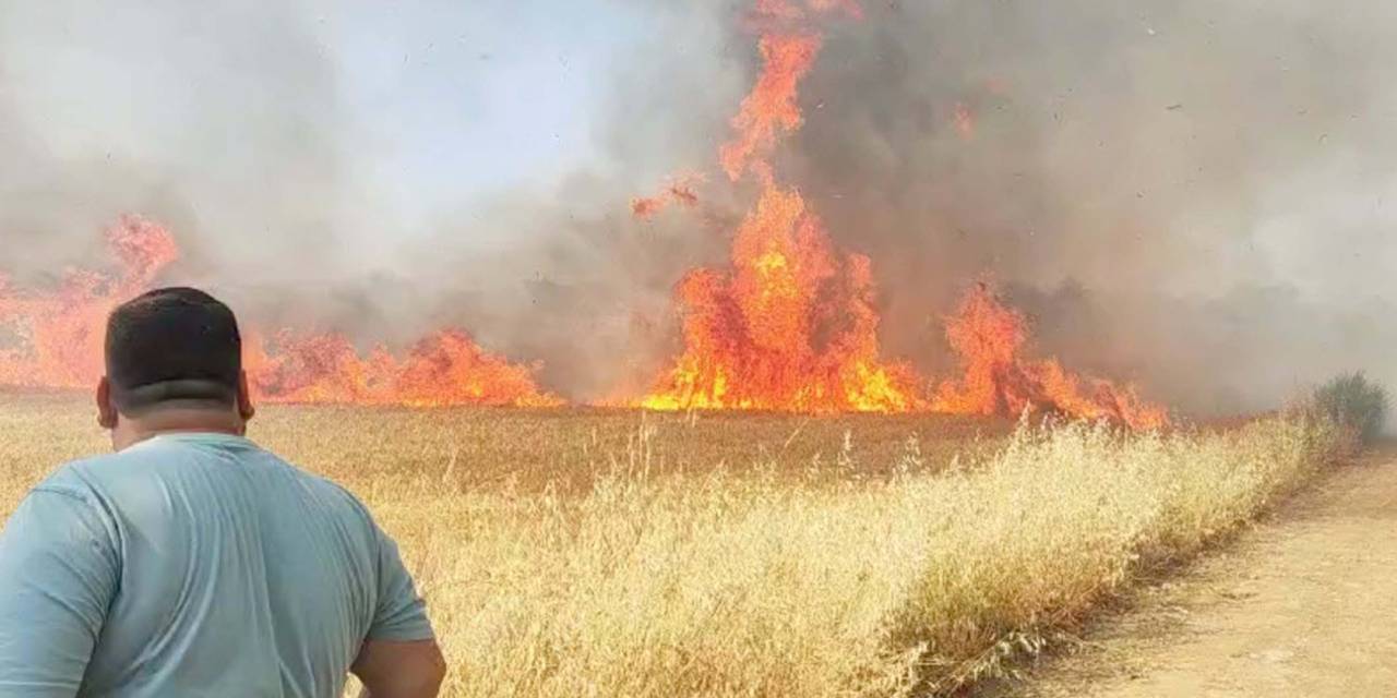 Buğday tarlasında yangın! Müdahale devam ediyor