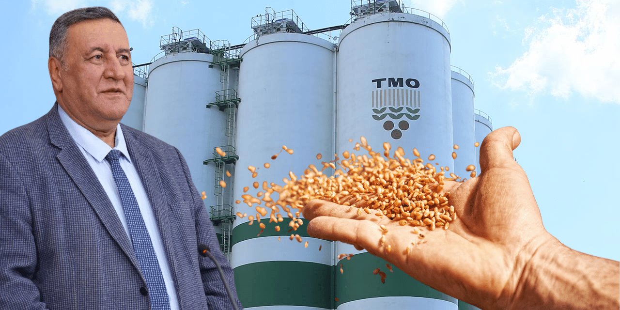 TMO'nun buğday alım fiyatlarına Gürer'den tepki: "13 lira verilmesi 'bu işi yapma' demektir"