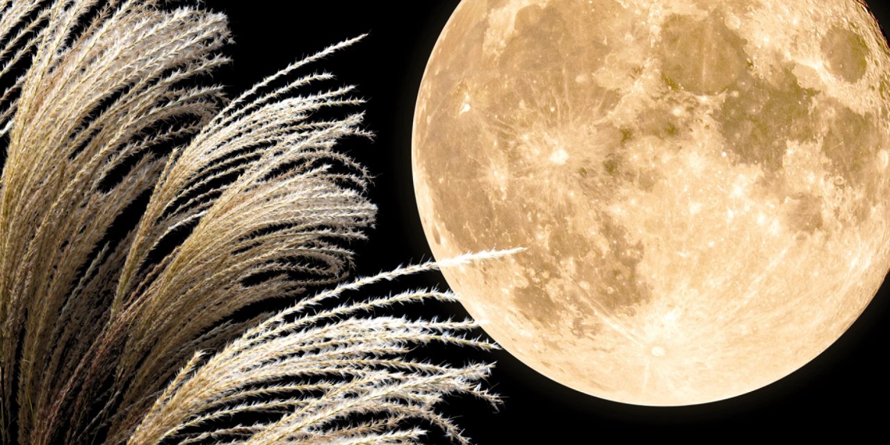 11 Haziran'daki Dolunay bazı burçlara gümbür gümbür geliyor