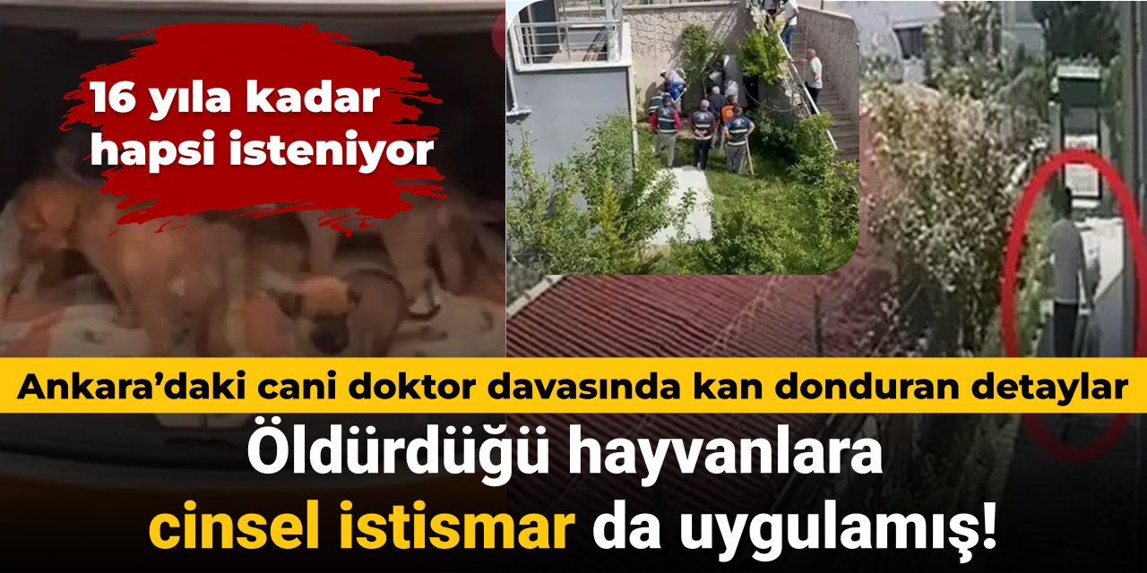 Ankara’daki cani doktor davasında kan donduran detaylar: Öldürdüğü hayvanlara cinsel istismar da uygulamış