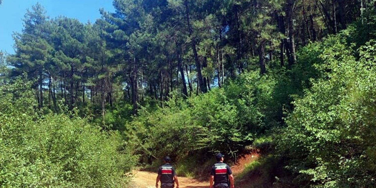 Muğla'da ormanlara girişin yasaklandığı tarihler belli oldu