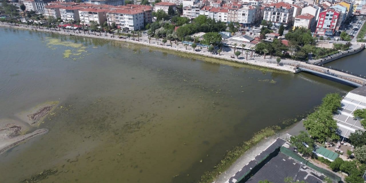 Marmara Denizi'ne ne oluyor? Bu kez de yeşile döndü