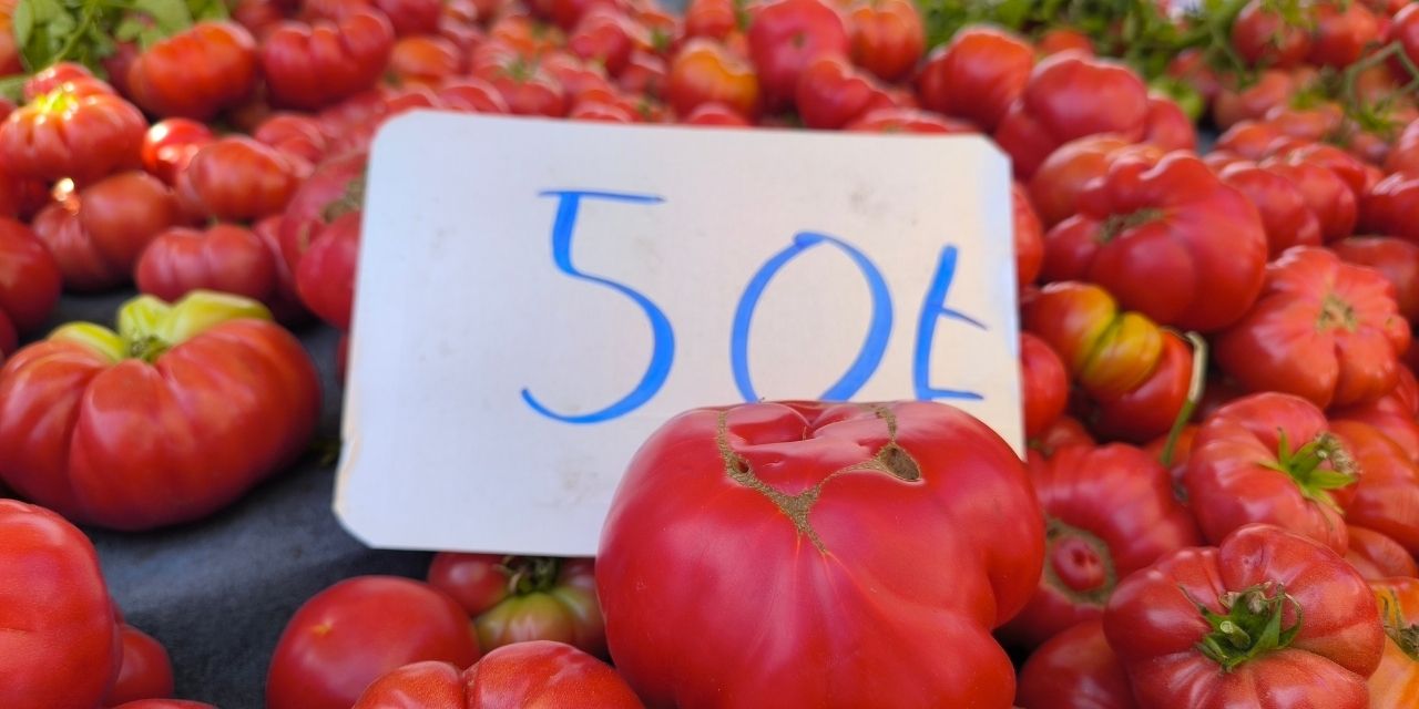 Kadirli’de pazarda tepki: TÜİK’e kim inanıyor?