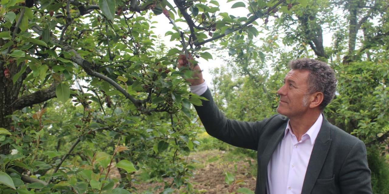 Zirai don maliyeti 21,5 milyar TL; çiftçiye destek 1,1 milyar lira