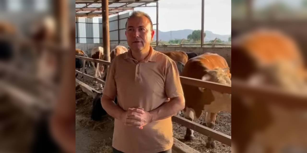 Sattığı dananın saldırısında öldü