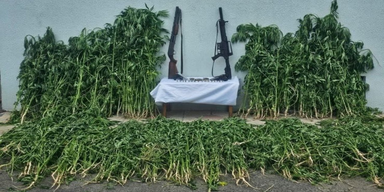 Evde uyuşturucu üretim sistemi yakalandı: 3 gözaltı