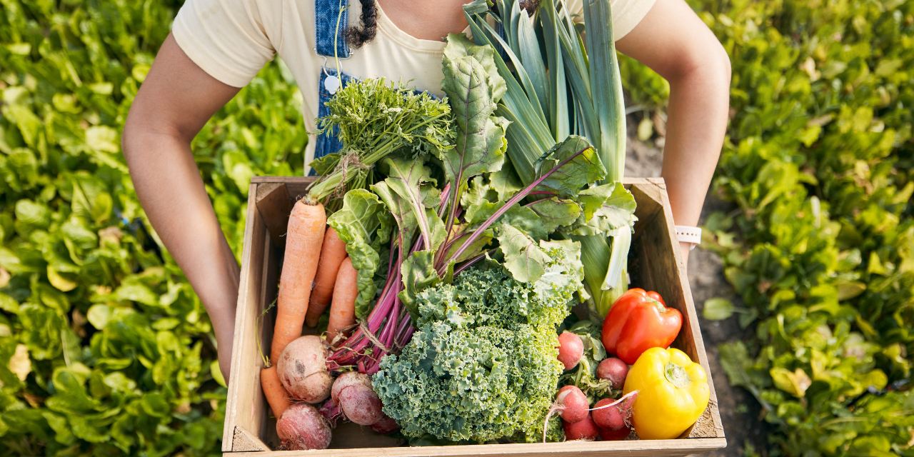 600 milyon kişi tehlikede: Tabağımızdaki gıda gerçekten güvenli mi?