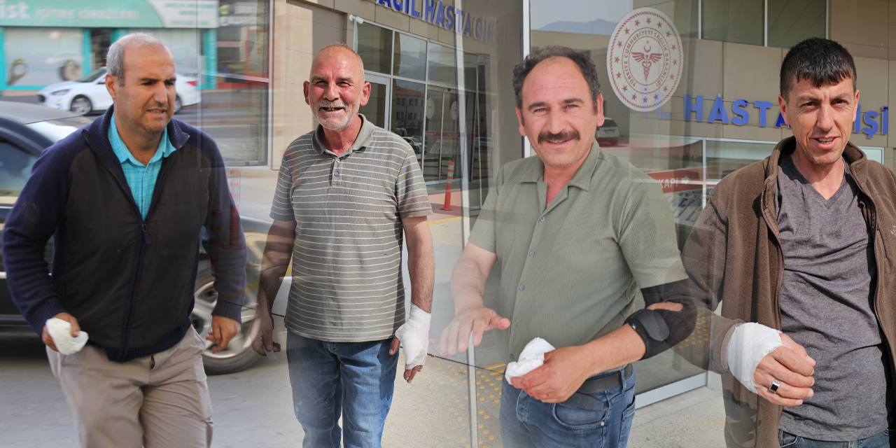 Bakan açıkladı, işte "acemi kasap" bilançosu